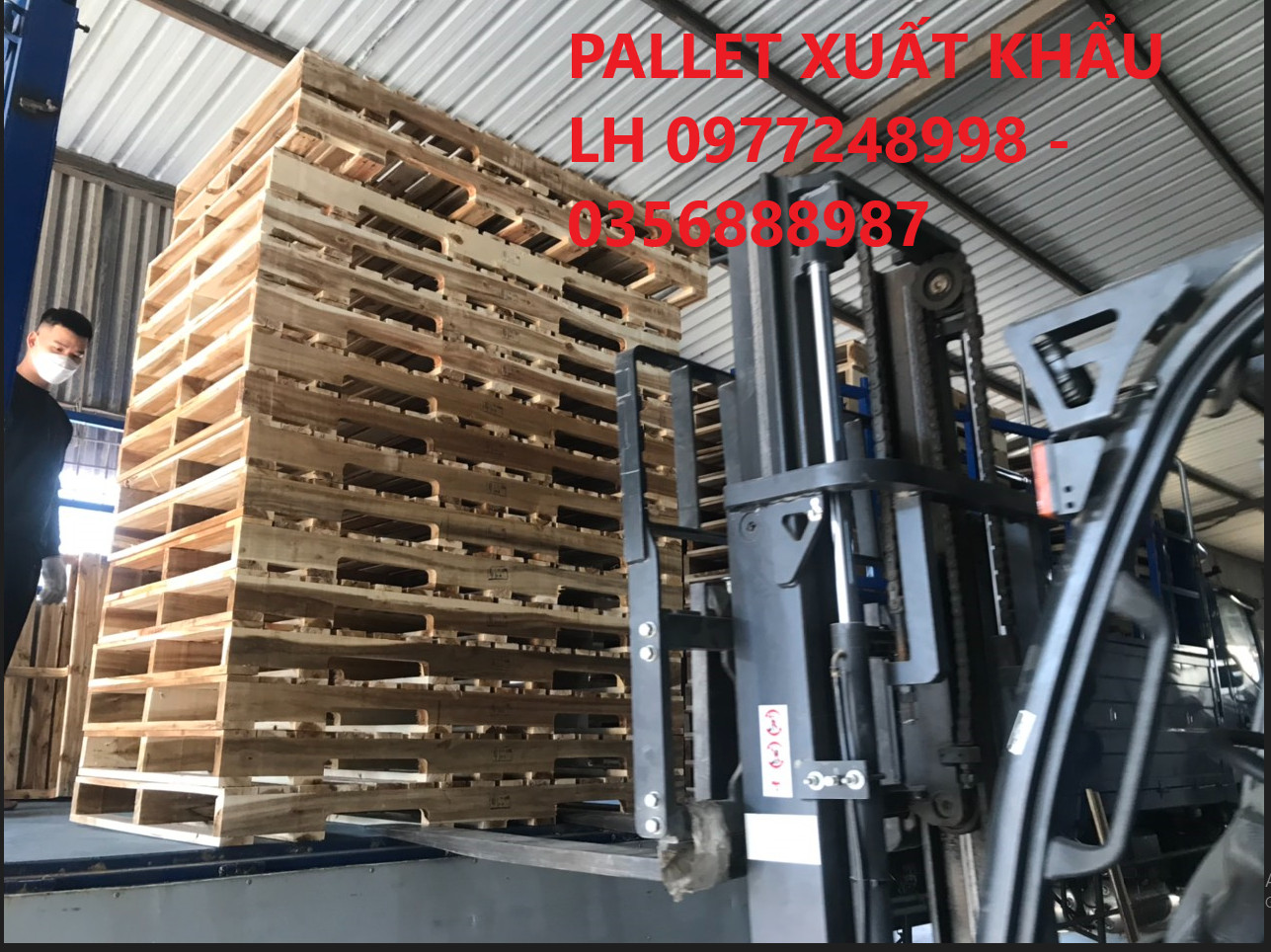 Hướng dẫn thủ tục hải quan xuất khẩu Pallet gỗ